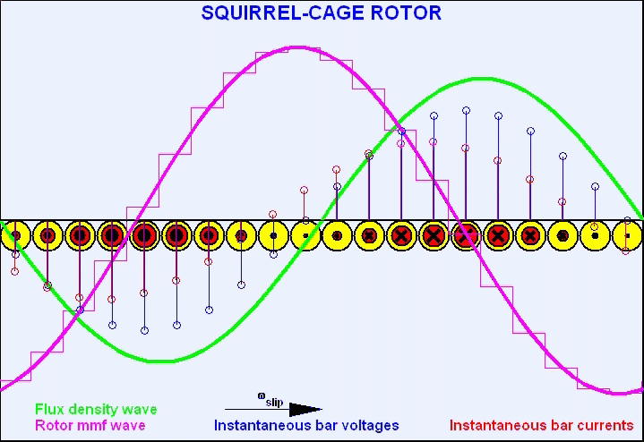 Developed view of a squirrel-cage induction machine