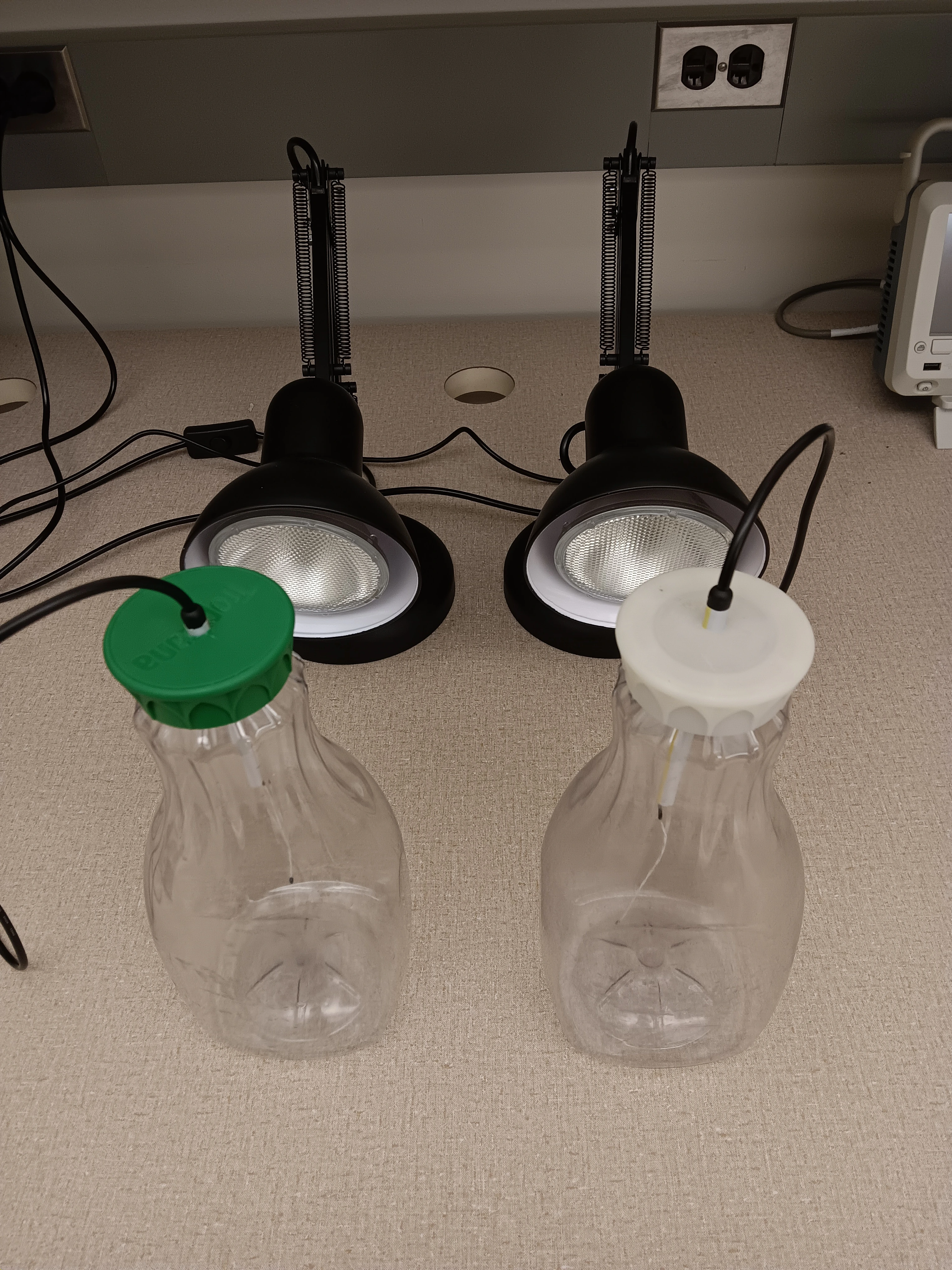 Lab photo GreenhouseExperimentSetup.webp